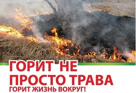 памятка о запрете выжигания сухой растительности <p> <p>С наступлением теплого времени года начинают поступать первые сообщения о поджогах травы