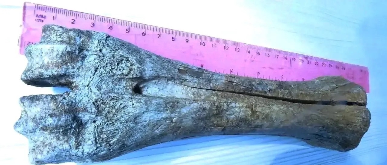 Тува вновь доказывает, что ее земля хранит удивительные тайны