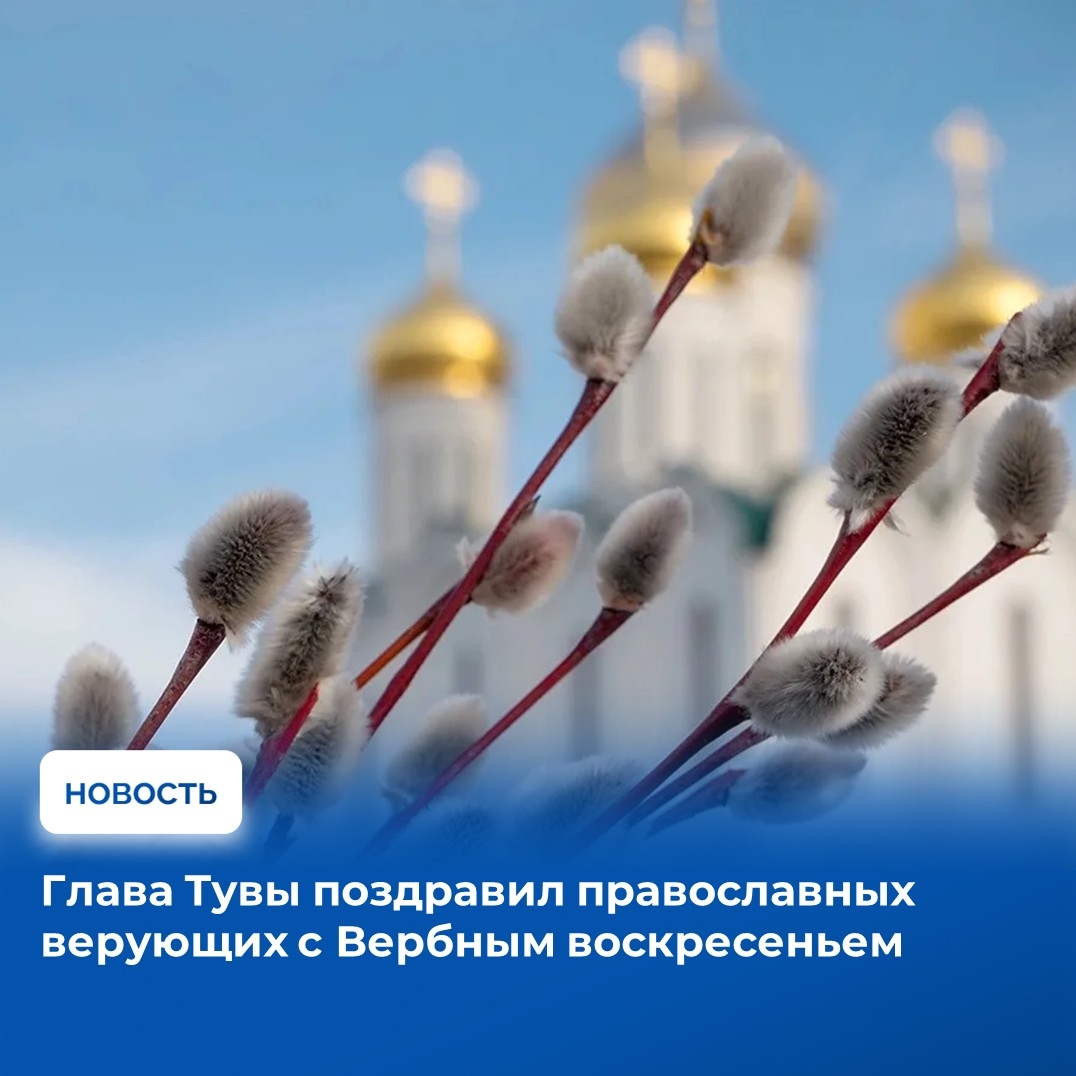 Сегодня в России отмечают один из самых значимых христианских праздников, именуемый Вербным воскресеньем