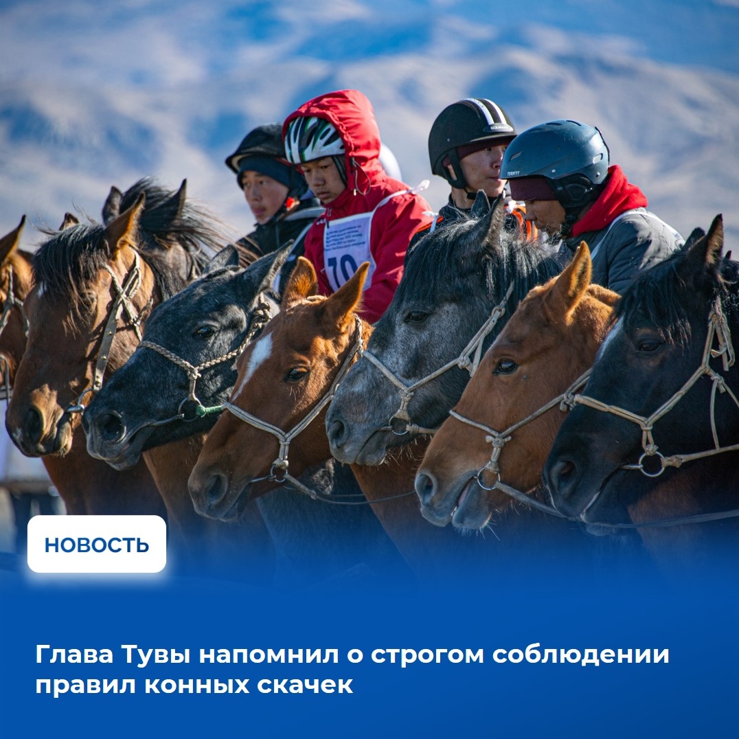 Владислав Ховалыг накануне провел совещание с участием профильных министерств и ведомств, ответственных за организацию и проведение конных скачек