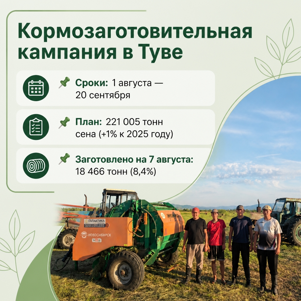 Глава Тувы Владислав Ховалыг провёл аппаратное совещание, где одной из основных тем был ход кормозаготовительной кампании