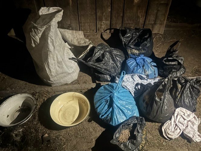 В одном из сел Тувы полицейские обнаружили почти 8 кг марихуаны