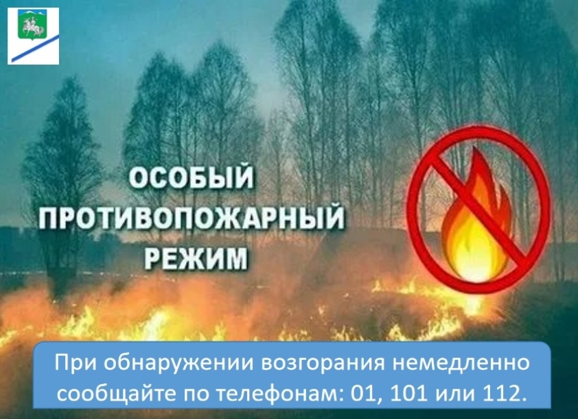 Внимание