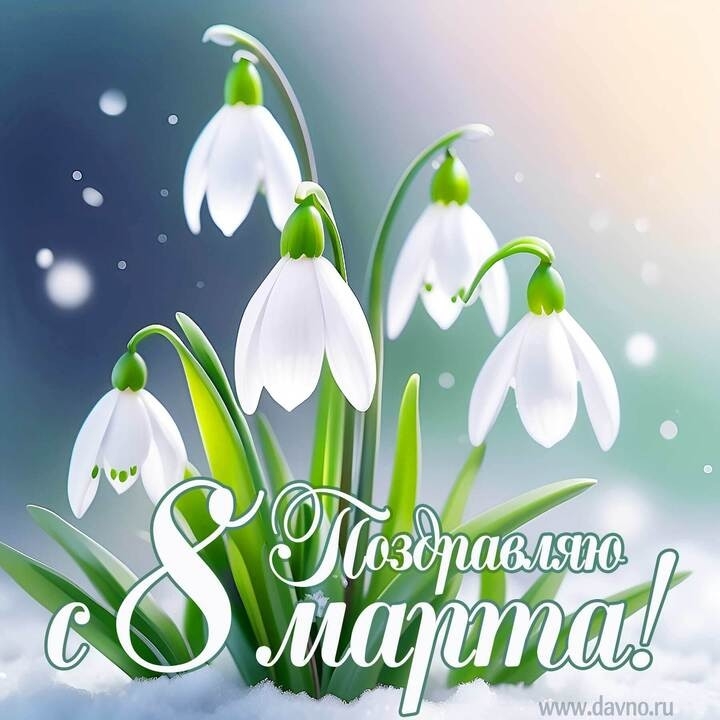 Милые женщины