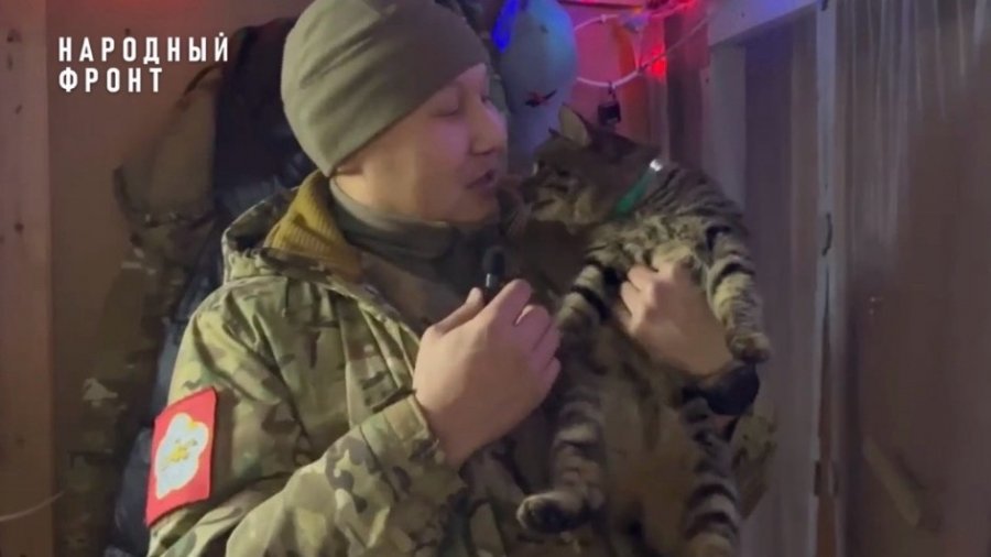Кот по кличке Миша стал талисманом для тувинских бойцов