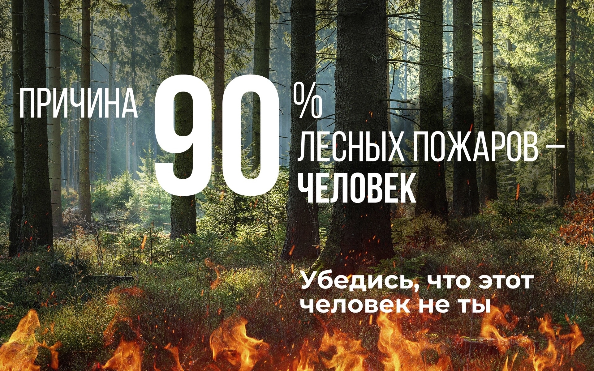 ПАМЯТКА ДЛЯ НАСЕЛЕНИЯ О МЕРАХ ПОЖАРНОЙ БЕЗОПАСНОСТИ В ВЕСЕННЕ-ЛЕТНИЙ ПОЖАРООПАСНЫЙ ПЕРИОД <p> <p> ​Весна и лето — прекрасное время для активного отдыха в саду, на природе, но, увы, это ещё и пожароопасный сезон