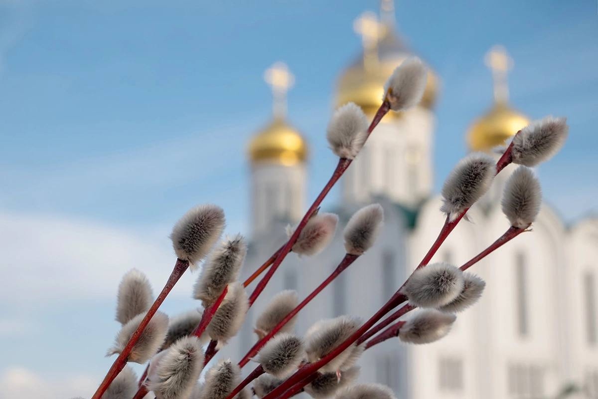 Поздравляю земляков с Вербным воскресеньем