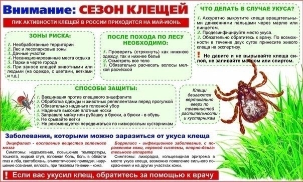 Как защититься от укусов клещей?