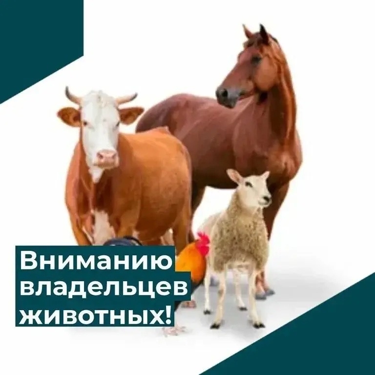 Уважаемые владельцы сельскохозяйственных животных г