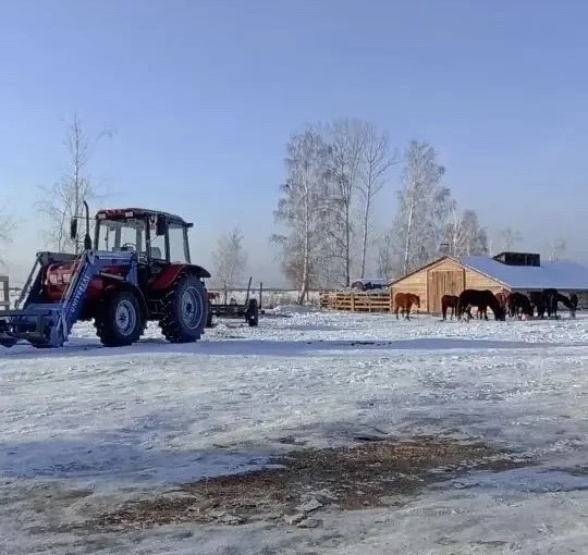 Ветеран СВО из Тувы расширил фермерское хозяйство по гранту «Агростартап»