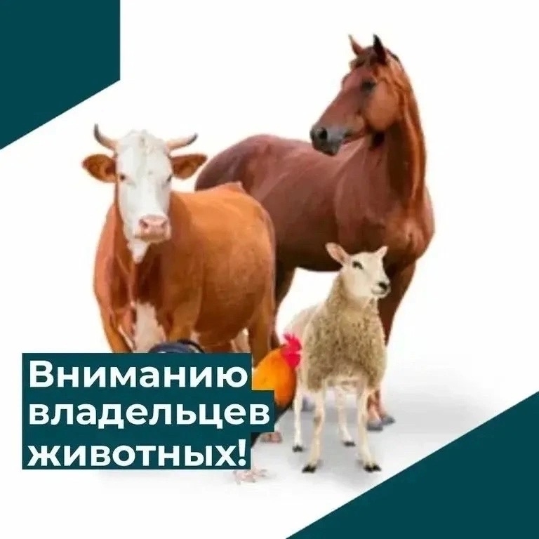 Напоминаем! Уважаемые владельцы сельскохозяйственных животных г