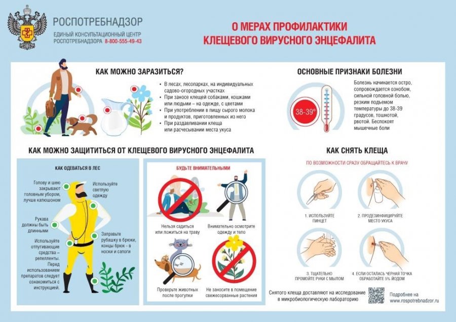 Роспотребнадзор Тувы рекомендует начать вакцинацию от клещевого энцефалита
