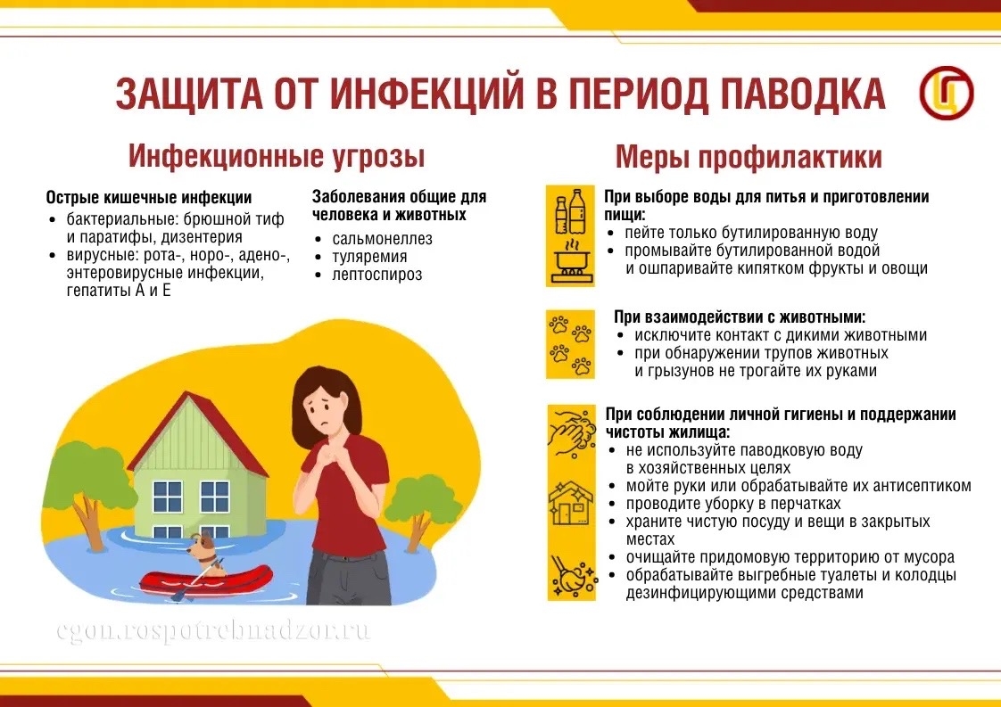 Без заголовка