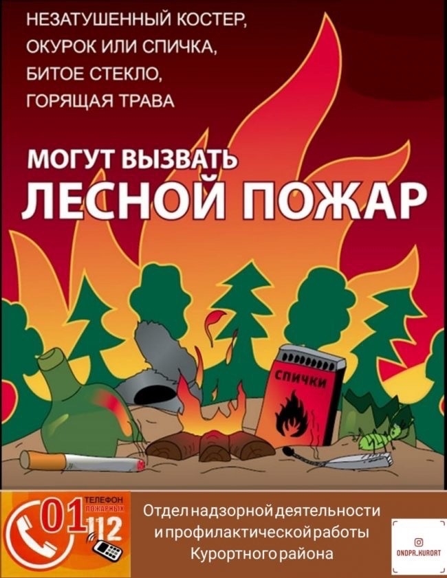 Отправляясь в лес на отдых, помните, что разведение костров, розжиг мангалов разрешается не всегда и не везде