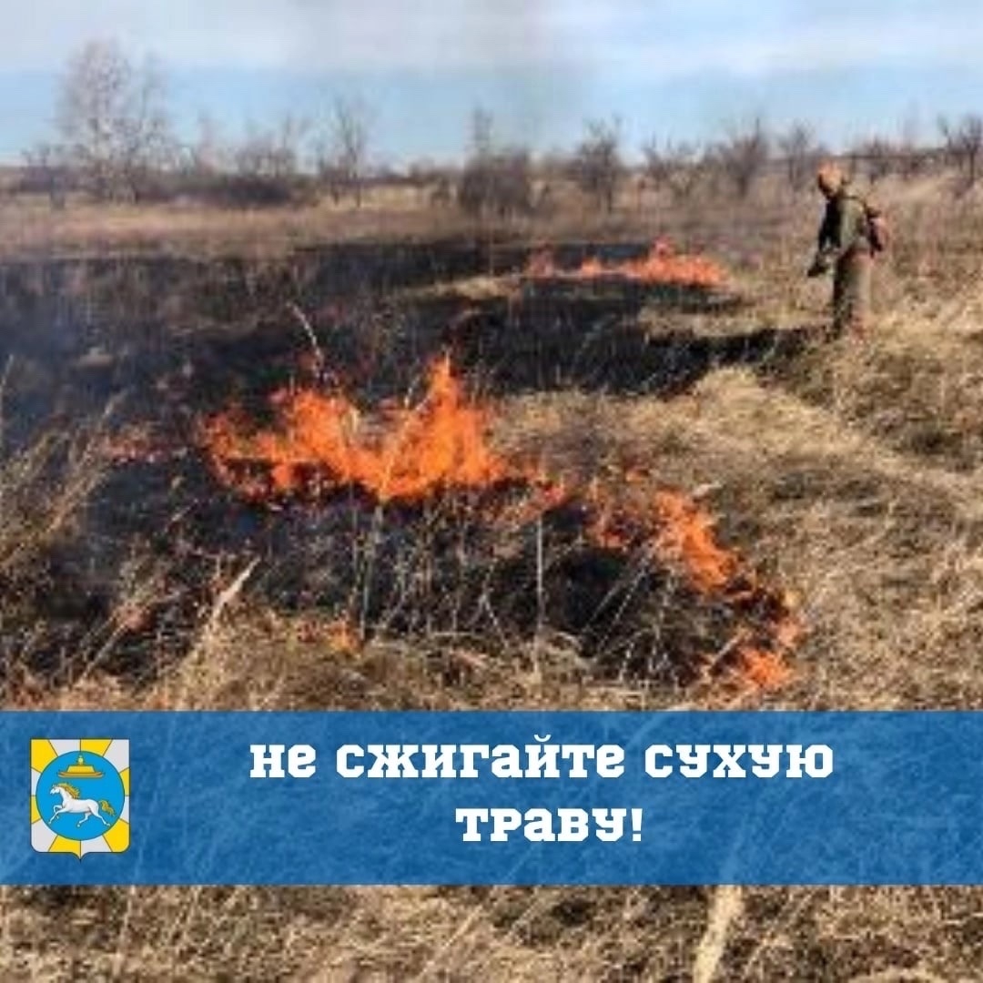 Уважаемые жители Дзун-Хемчикского кожууна, соблюдайте элементарные правила пожарной безопасности в лесу