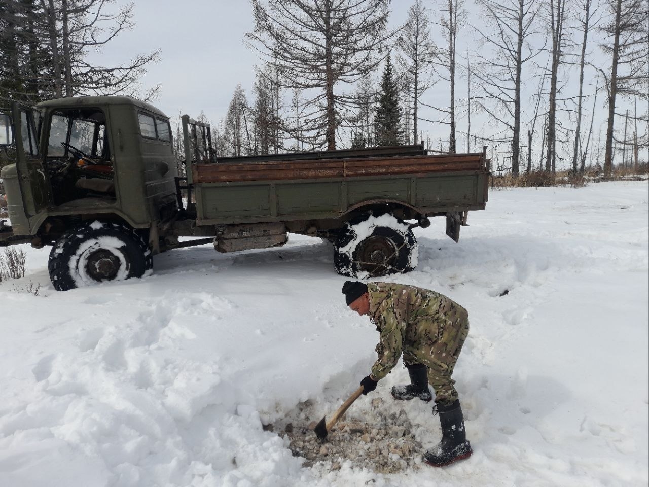 В лесах Тувы появились новые солонцы для диких животных